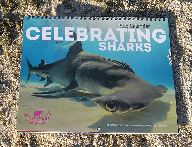 2015 Celebrating Sharks Calendar