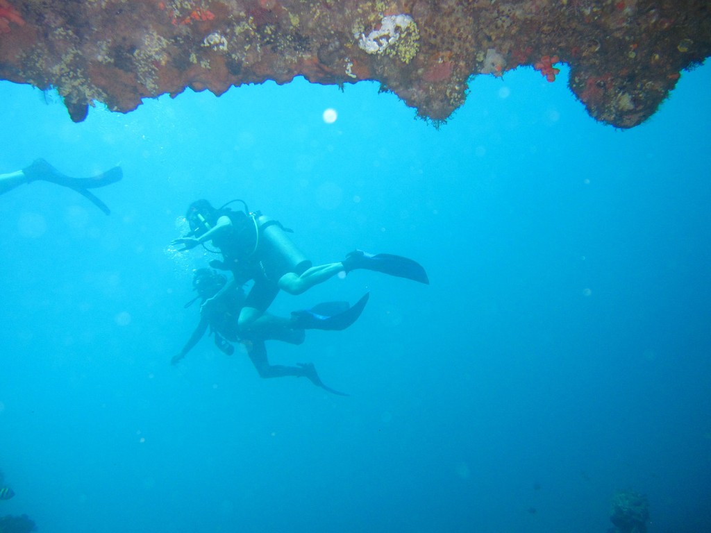 Diving-in-current,-reef---Torben-Lonne