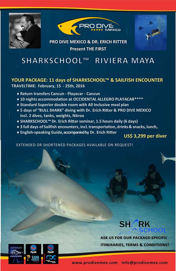 sharkschool-flyer