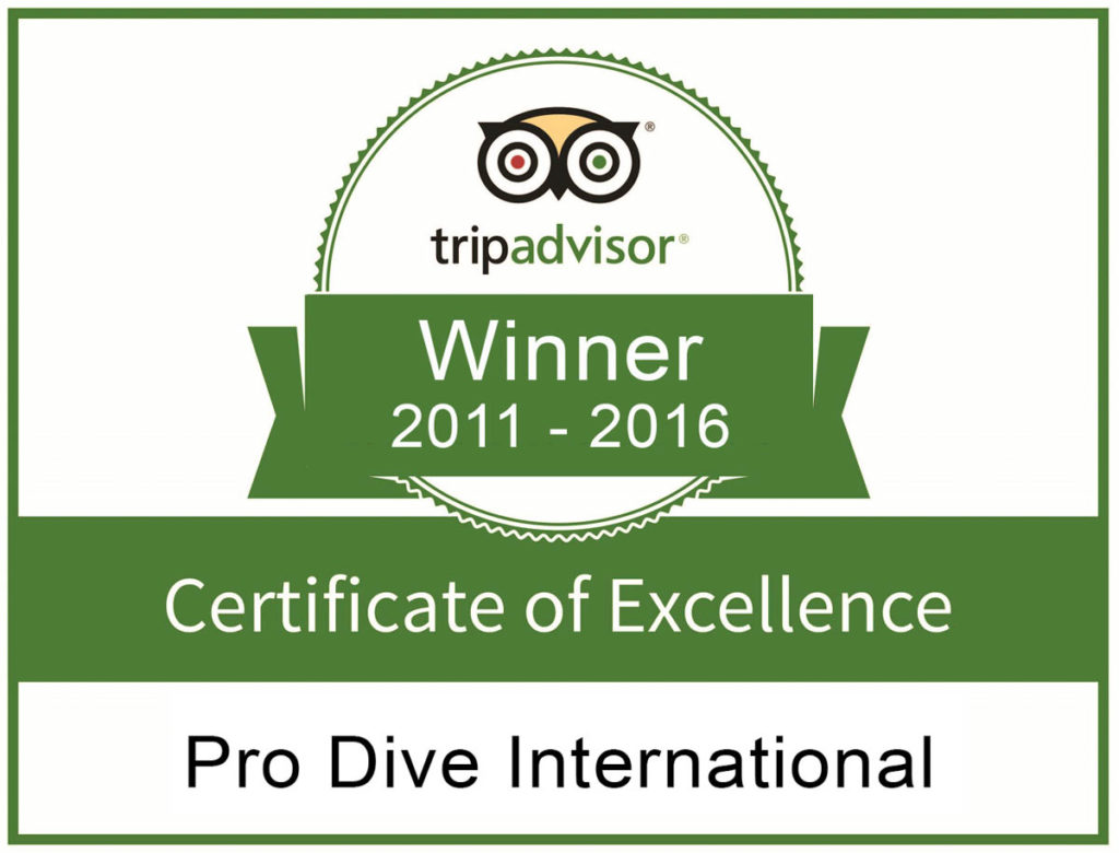 pro-dive-international-tripadvisor-award-3