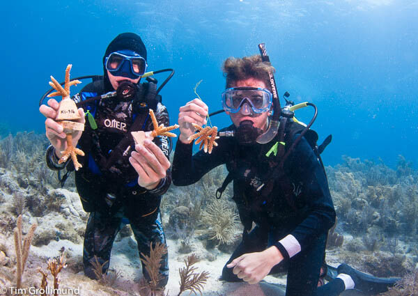 A couple of marine biology students show the coral they are getting ready to plant
