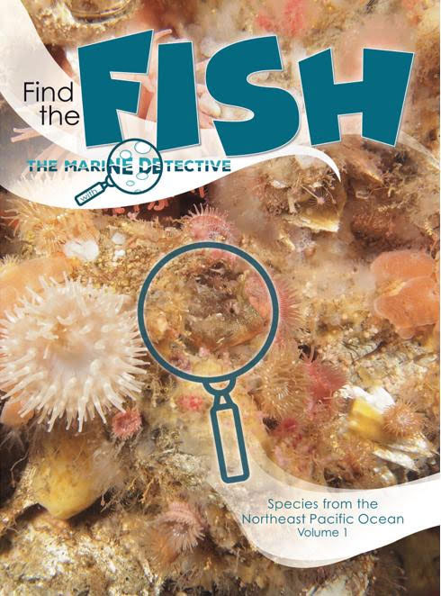 Find the Fish