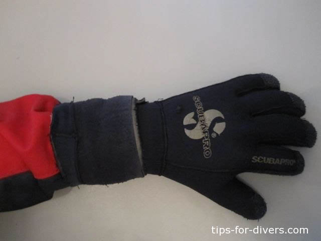 Arm warmers ready for diving action: They are worn above seal and glove