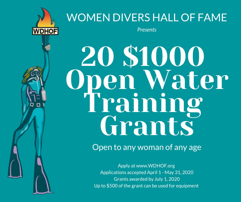 Openwater Training Grants