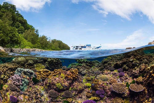 Solomon Islands with Liquid Diving Adventures