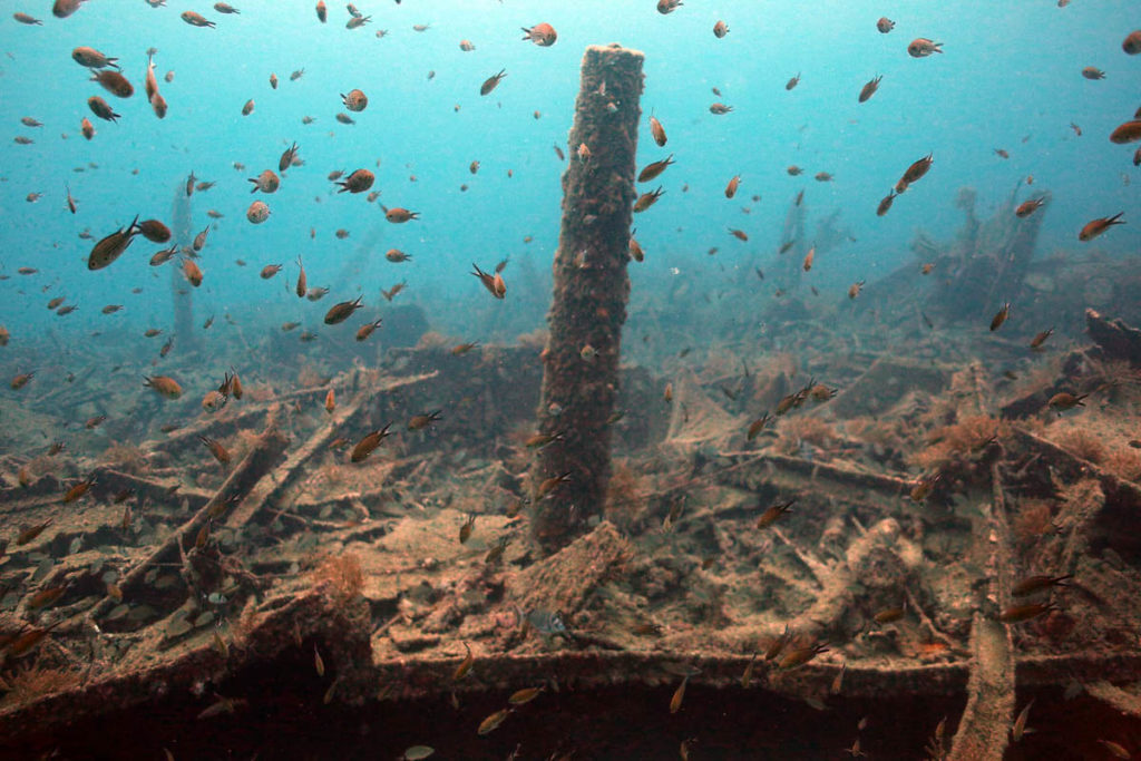 Gallipoli Wreck Diving