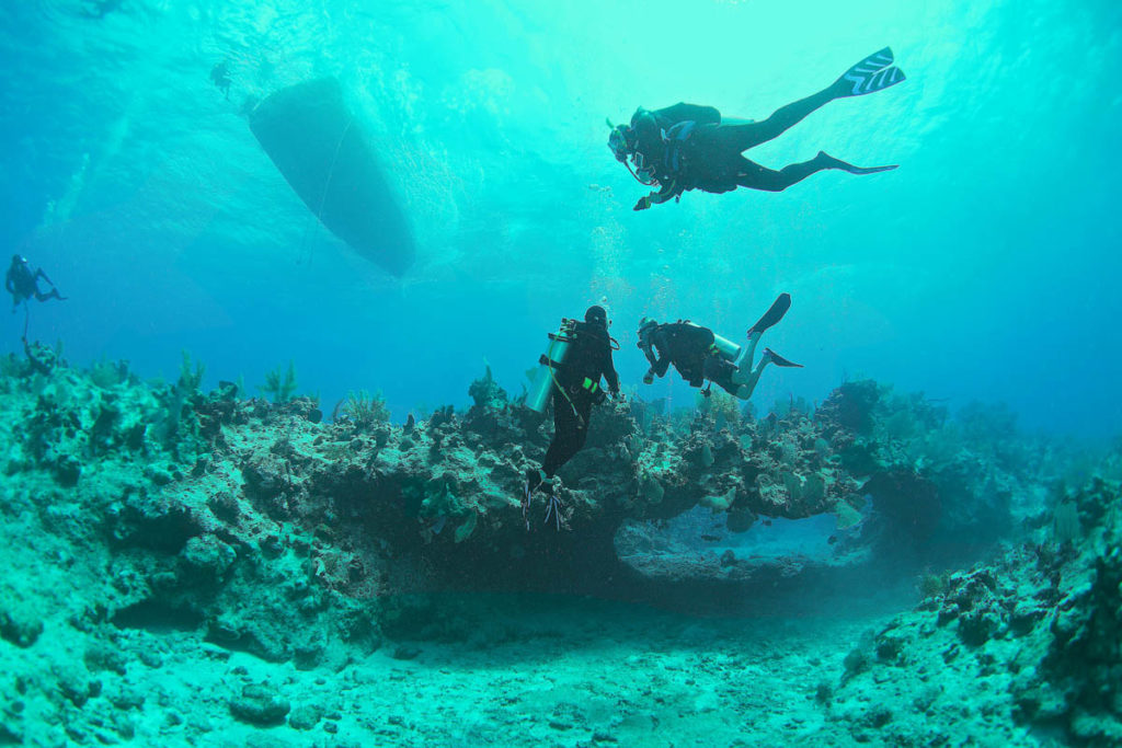 Diving South Caicos