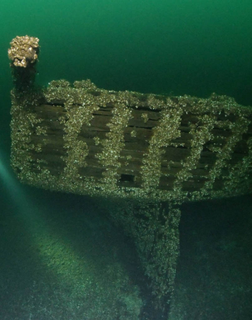 Eureka Shipwreck