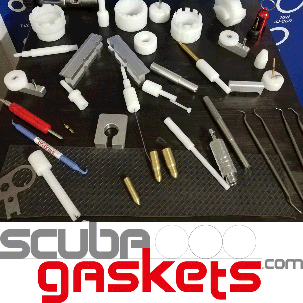 Scuba Dive The Red Sea The Scuba News