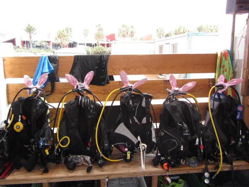 Dive Bunnies Rental Gear