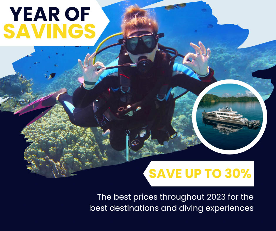 Year of Savings on Liveaboard Holidays