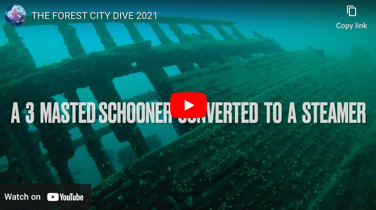 Scuba Diving the Forest City in Tobermory The Scuba News