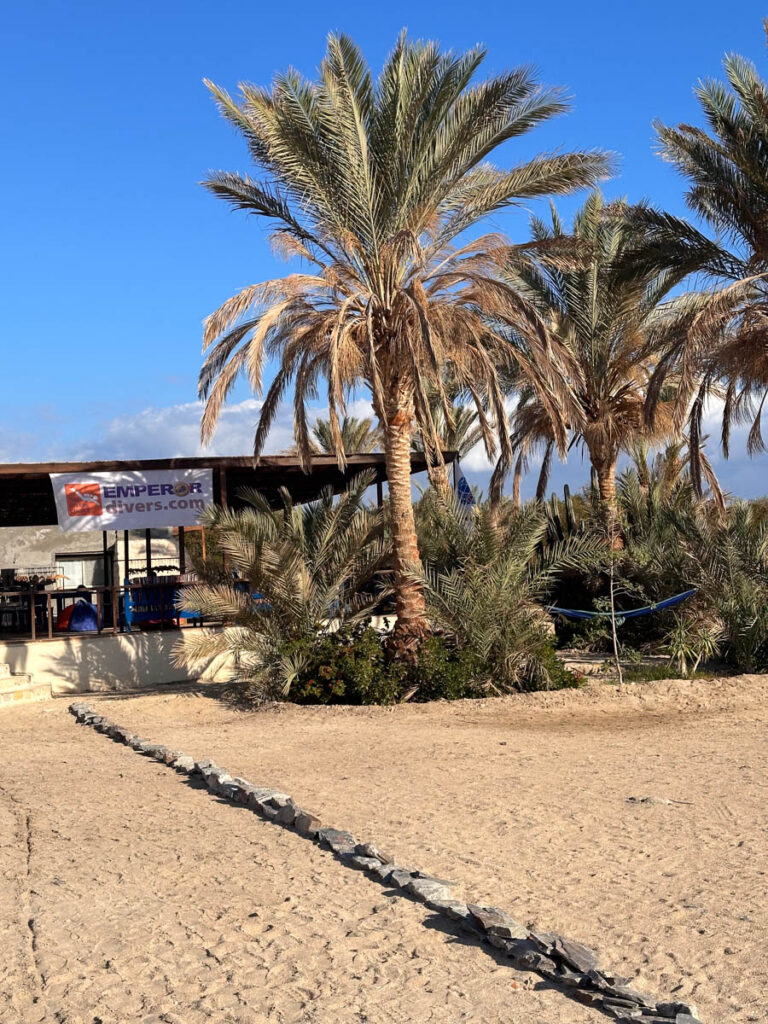 Wadi Sabarah, Red Sea
