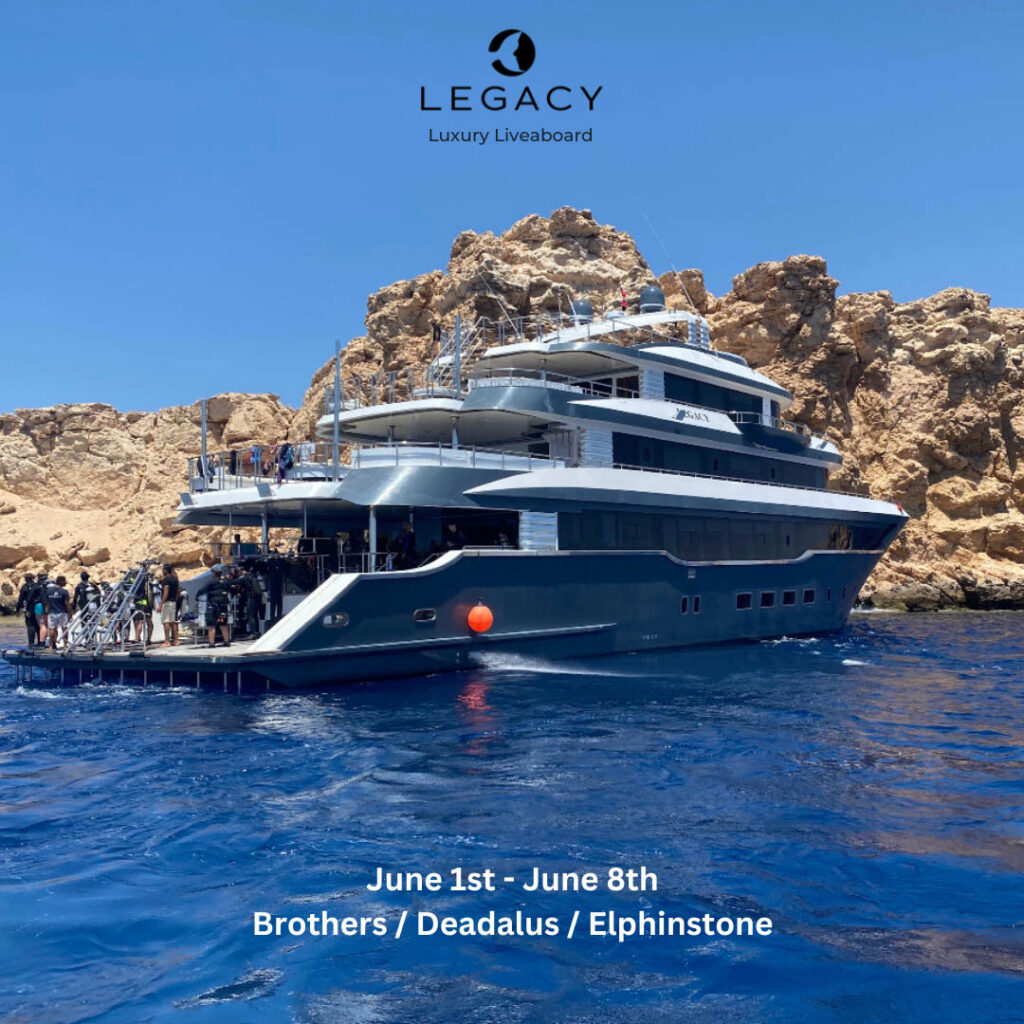 Legacy Liveaboard, Red Sea