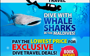 Great offers on Maldives liveaboards Visit The Maldives