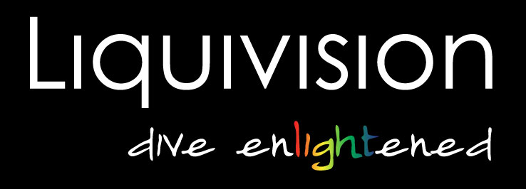 Liquivision Logo