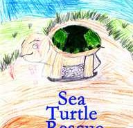 Sea Turtle Rescue children’s book now available Sea Turtle Rescue