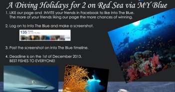 LIKE, SHARE and WIN a Diving Holiday on the Red Sea for TWO! Into The Blue at The Scuba News