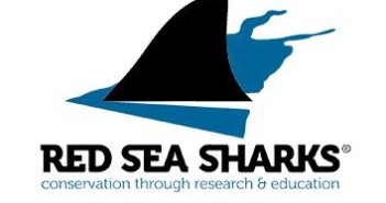 The Red Sea Sharks Trust – Supporting Shark Research Projects in the Red Sea Red Sea Sharks Trust