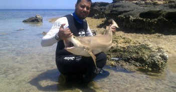 Another Shameful Picture from Egyptian “Dive Professional” Shameful Picture - Egypt