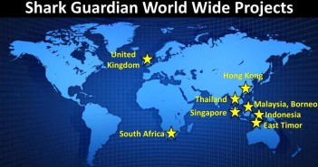 How Shark Guardian are Inspiring School Children Through Education On Shark Conservation Shark Guardian Projects at The Scuba News