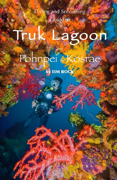 Diving and Snorkeling Guide for Truk Lagoon, Pohnpei and Kosrae at The Scuba News