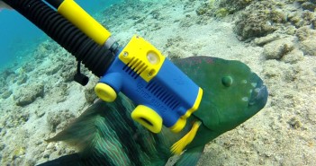 DiverGuard at The Scuba News