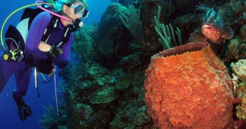 A relaxed and confident diver enjoying Bloody Bay Wall on Little Cayman, Paul Brazier credits her instructor Mike Schouten for her success.