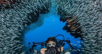 An underwater photographer moves through the schooling silversides at Devil's Grotto in Grand Cayman. Photo by Alex Mustard