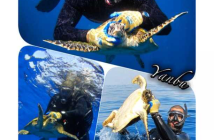 Name and Shame Pictures at The Scuba News