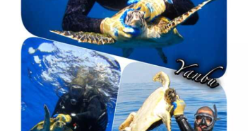 Name and Shame Pictures at The Scuba News