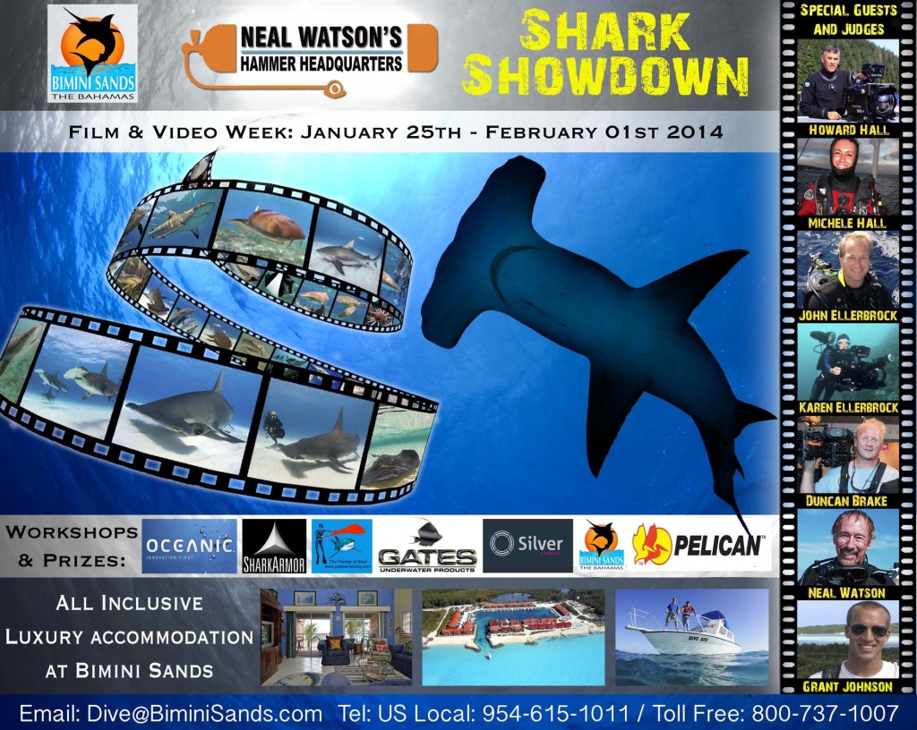 Shark Showdown at The Scuba News