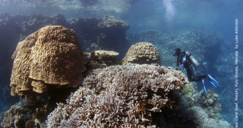 Emperor Divers Hamata at The Scuba News