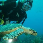 Karina Erickson enjoying a visit with a sea turtle during one of her dive trips to Grand Cayman. Photo courtesy Karina Erickson.