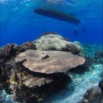 Exploring The Diversity of Papua New Guinea