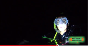 Halloween Haunted Dive at The Scuba News
