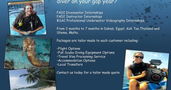 Scuba Duba Dive - Become a scuba diving professional in your gap year