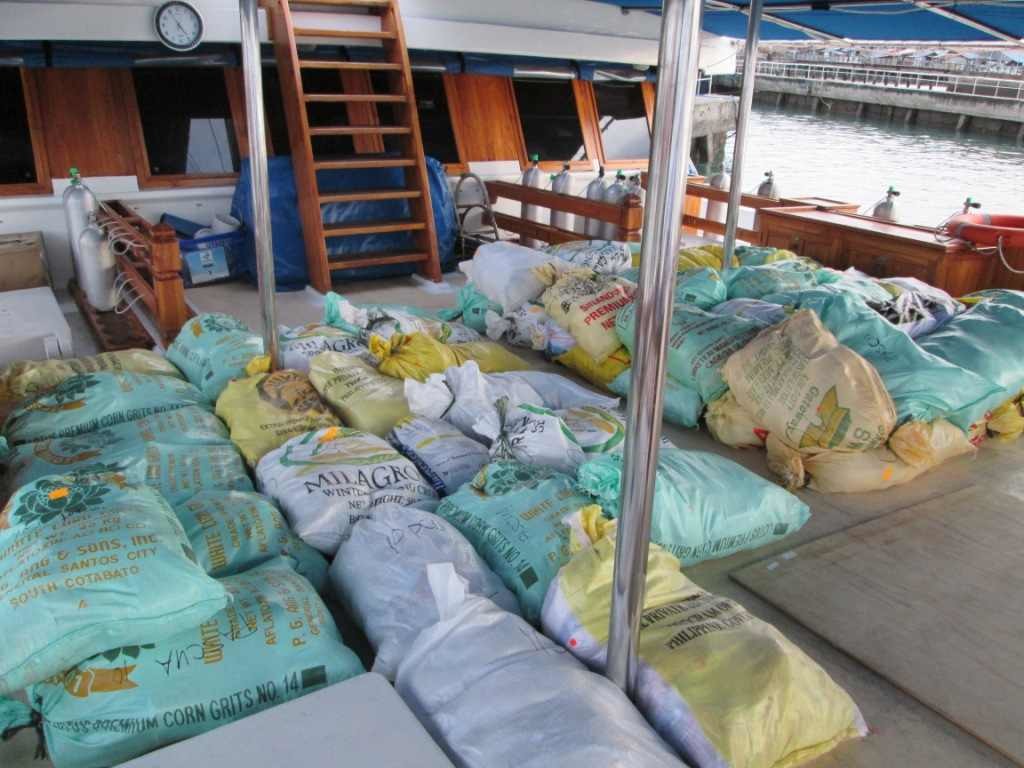Siren Fleet Philippines Typhoon Update