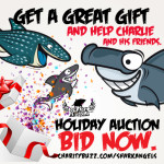 Shark Angels Auction at The Scuba News