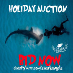 Shark Angels Auction at The Scuba News
