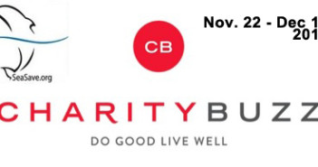 Sea Save Foundation Fundraising Auction – Ends December Today Charity Buzz