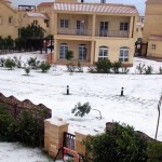 Snow in Egypt at The Scuba News