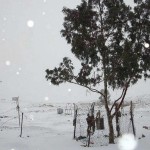 Snow in Egypt at The Scuba News