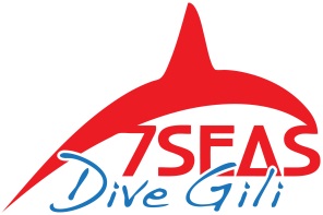 7SEAS Gili at The Scuba News