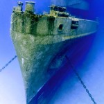 Sunk two years ago, the USS Kittiwake wreck is a popular dive site and now home to a variety of sea creatures. Photo courtesy Amanda Nicholls.