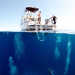 Stunning visibility, perfect dive conditions and excellent dive operators attract divers from all over the world. Photo courtesy Amanda Nicholls.