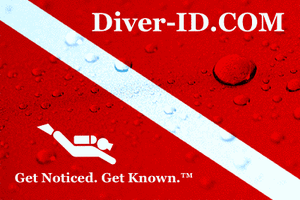 Diver ID Logo