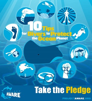 Project AWARE Pledge