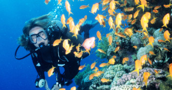 Book soon and save this summer with Regaldive