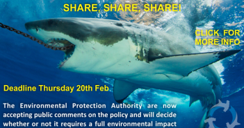 Take 2 Minutes And Help End The Shark Cull Support Our Sharks